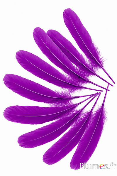 Gans - 15-21 cm - aubergine